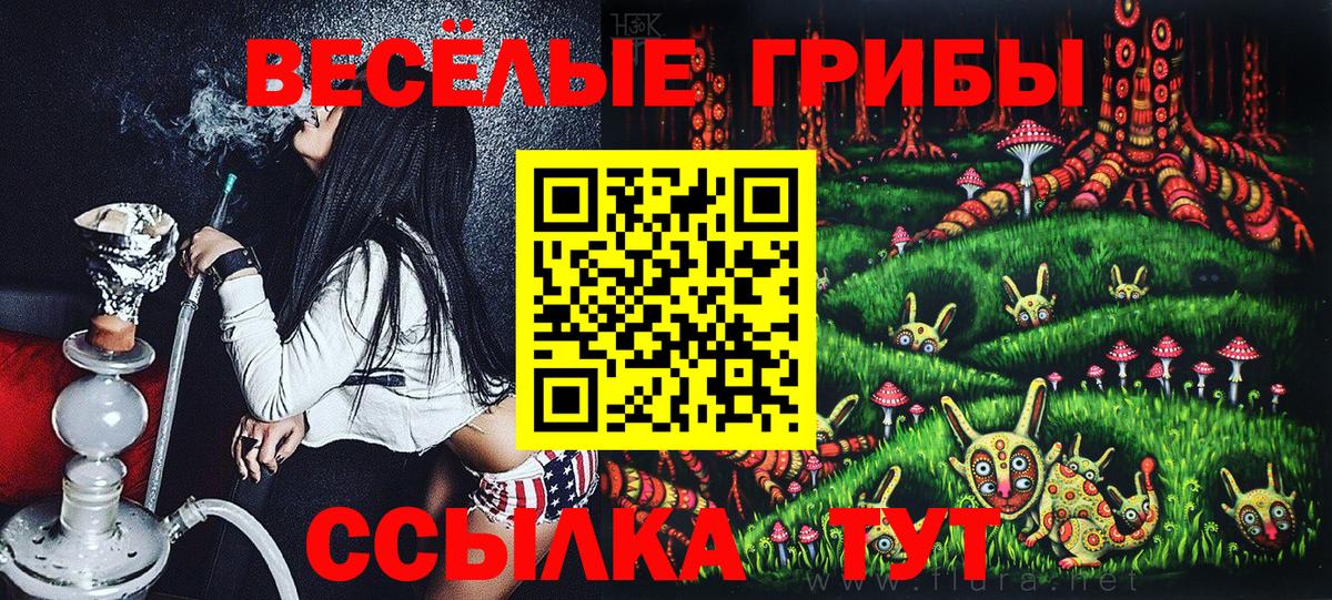 Галлюциногенные грибы MAGIC MUSHROOMS  Вход с VPN  Фрязино 